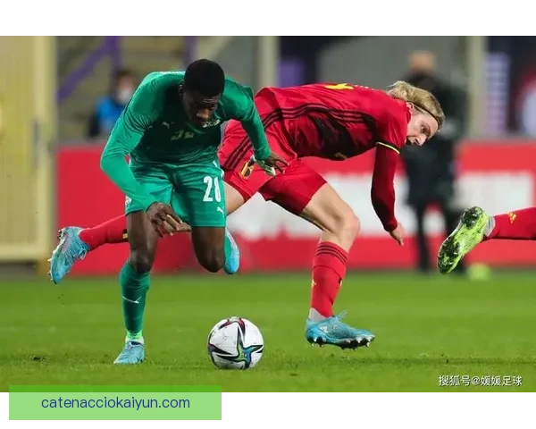 冰岛在欧预赛阶段表现挣扎，状态堪忧需急需调整。